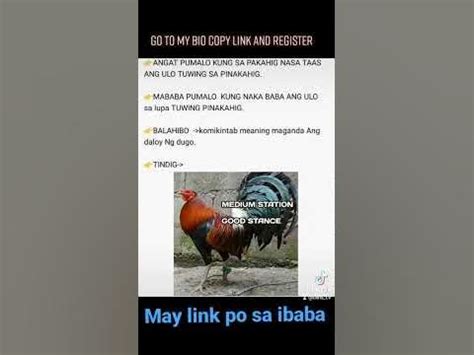 piso talpak online sabong|E.